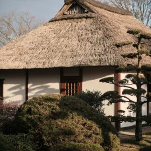 traditional town