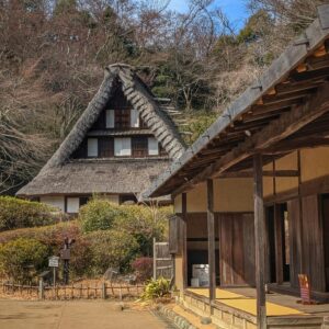 traditional town